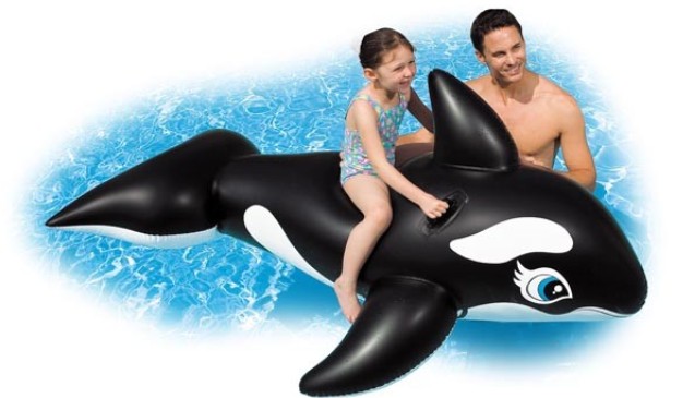 Whale Ride-On